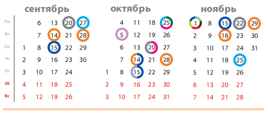    -  -  2010